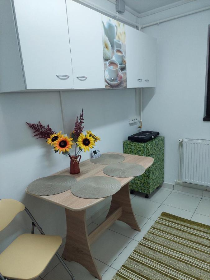Apartament Octav デヴァ エクステリア 写真