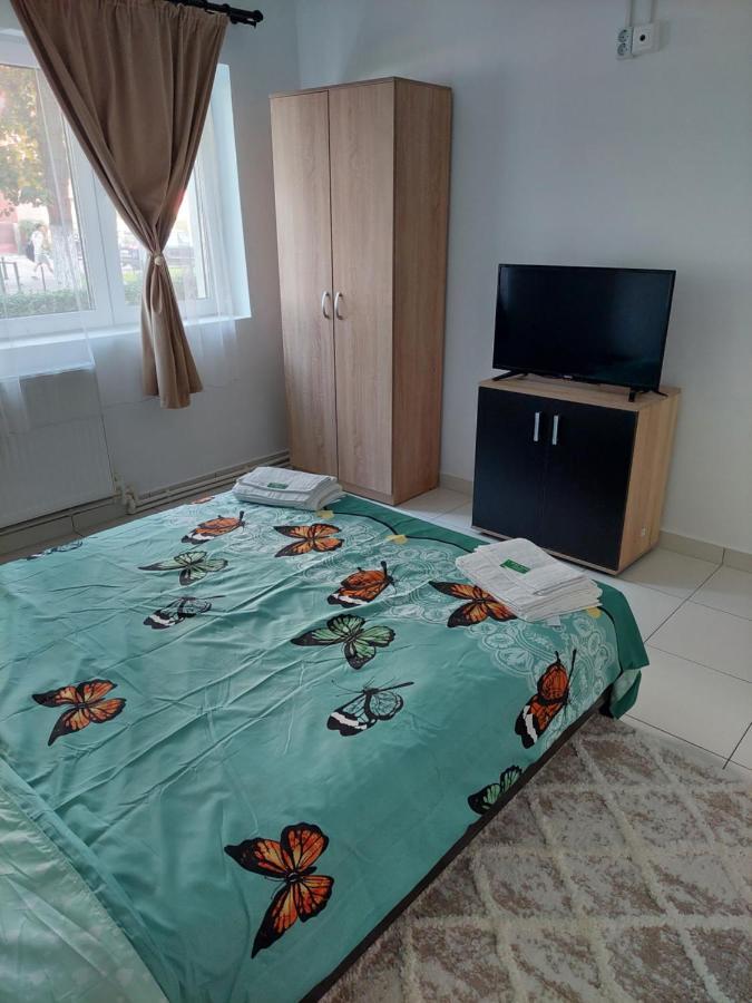 Apartament Octav デヴァ エクステリア 写真
